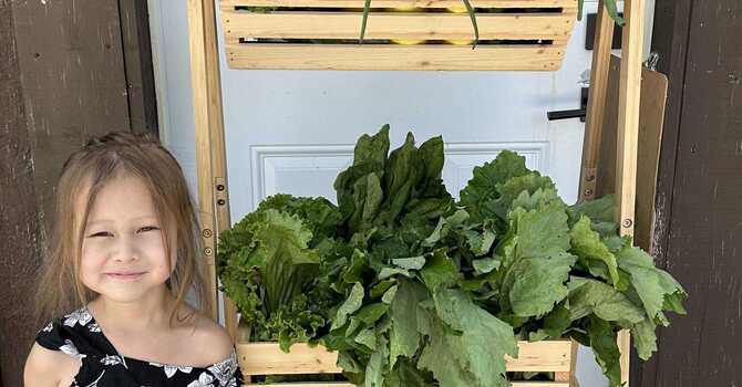 ONKWEHÓN:WE MIDWIVES COLLECTIVE RECEIVES $34,980 GRANT FOR FIRST FOOD PROJECT image